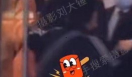 刘大锤最新爆料直播,娱乐圈最新爆料大揭秘！